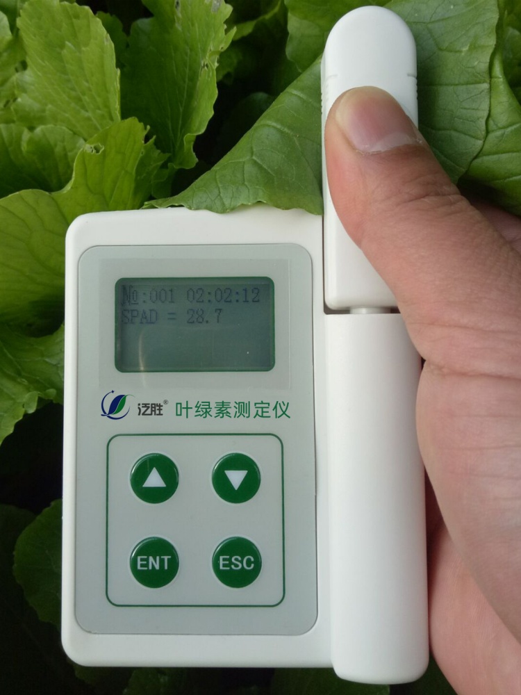 1715407953998881.jpg 葉詳2.jpg